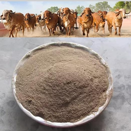 Cow Dung Powder